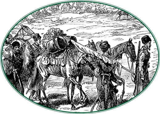 Иллюстрация к книге — Стою за правду и за армию! [i_100.jpg]