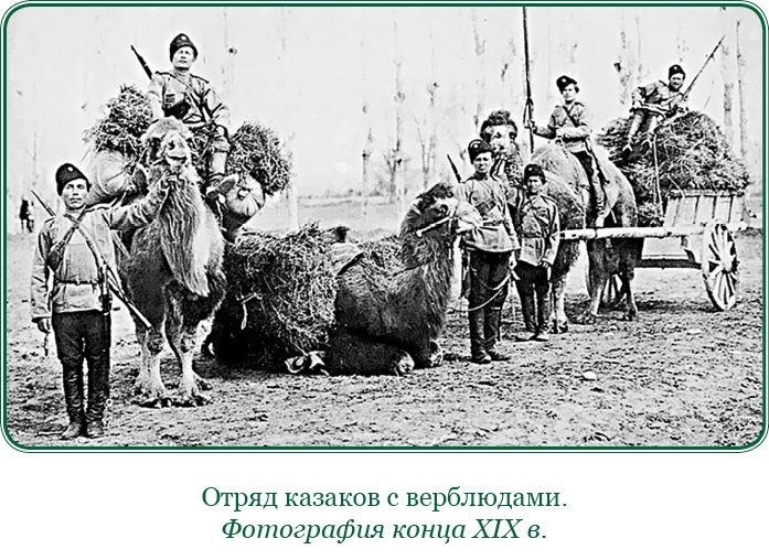 Иллюстрация к книге — Стою за правду и за армию! [i_110.jpg]