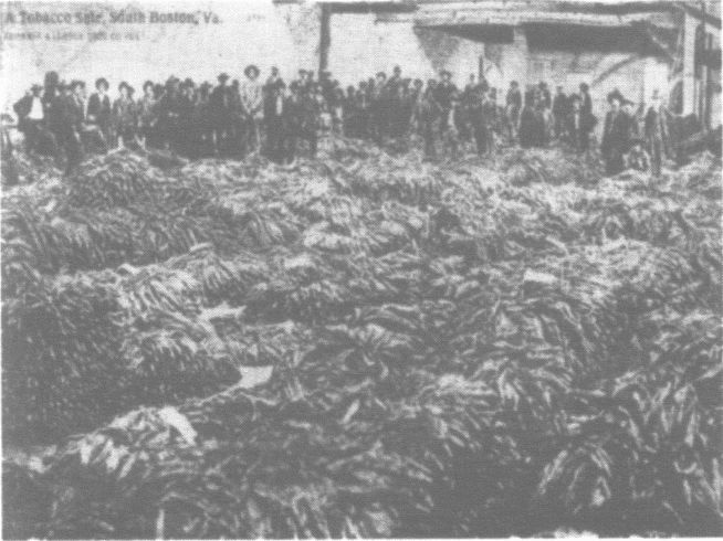 Иллюстрация к книге — Бессмертная жизнь Генриетты Лакс [i_031.jpg]