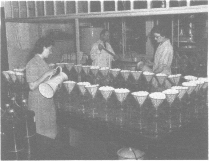 Иллюстрация к книге — Бессмертная жизнь Генриетты Лакс [i_037.jpg]