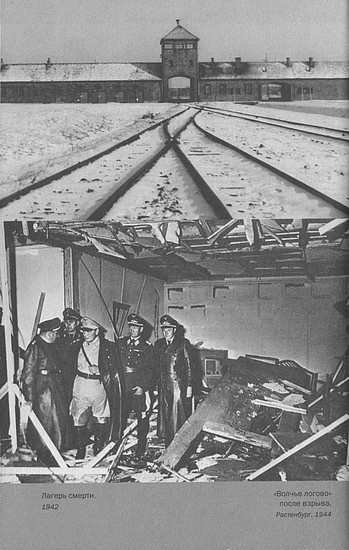 Иллюстрация к книге — Адольф Гитлер. Жизнь под свастикой [i_027.jpg]