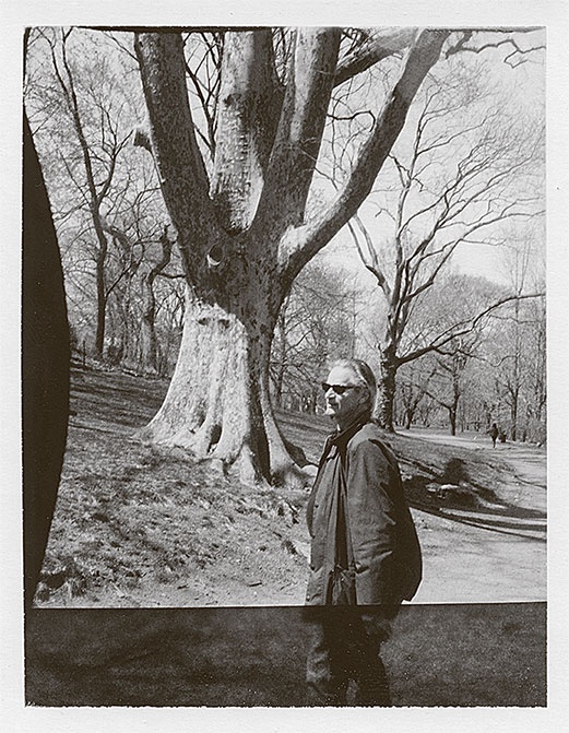 Иллюстрация к книге — Я пасу облака [i_007.jpg]