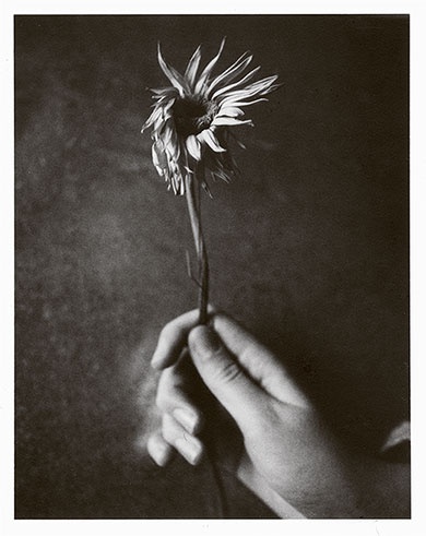 Иллюстрация к книге — Я пасу облака [i_020.jpg]