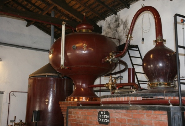 Иллюстрация к книге — Алкогольные напитки и культура пития. Систематическая энциклопедия от Алкофана [i_037.jpg]