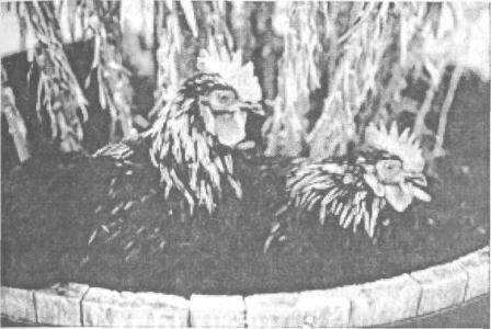 Иллюстрация к книге — Психология в лицах. Творческие биографии замечательных ученых, определивших направления развития современной психологии [i_007.jpg]