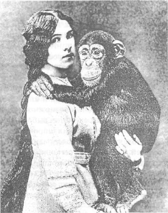 Иллюстрация к книге — Психология в лицах. Творческие биографии замечательных ученых, определивших направления развития современной психологии [i_043.jpg]