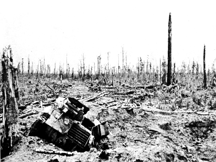 Иллюстрация к книге — Трагедия на Неве. Шокирующая правда о блокаде Ленинграда. 1941-1944 [i_010.jpg]