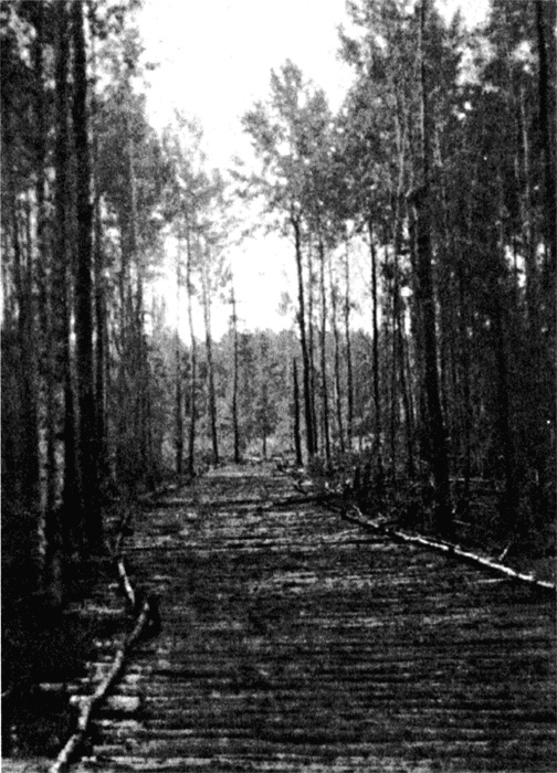 Иллюстрация к книге — Трагедия на Неве. Шокирующая правда о блокаде Ленинграда. 1941-1944 [i_013.jpg]