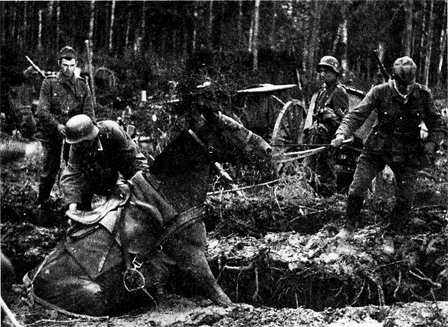 Иллюстрация к книге — Трагедия на Неве. Шокирующая правда о блокаде Ленинграда. 1941-1944 [i_016.jpg]