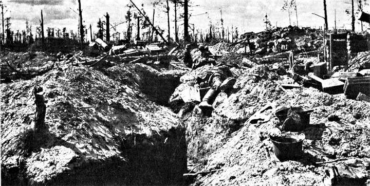 Иллюстрация к книге — Трагедия на Неве. Шокирующая правда о блокаде Ленинграда. 1941-1944 [i_042.jpg]