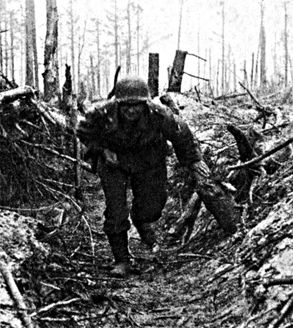 Иллюстрация к книге — Трагедия на Неве. Шокирующая правда о блокаде Ленинграда. 1941-1944 [i_045.jpg]