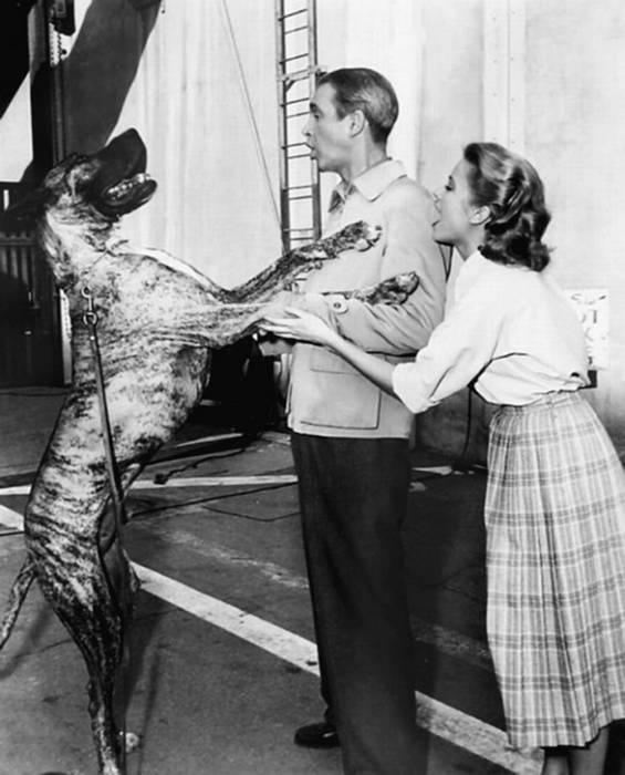 Иллюстрация к книге — Грейс Келли. Как стать принцессой… [i_115.jpg]