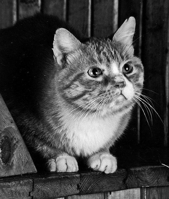 Иллюстрация к книге — Мои пригорки, ручейки. Воспоминания актрисы [i_007.jpg]