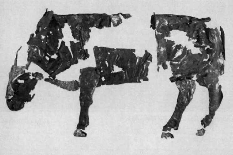 Иллюстрация к книге — Геродот [i_025.jpg]