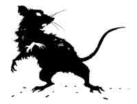 Иллюстрация к книге — Скользящий [block_001320179.jpg]