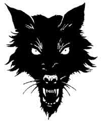 Иллюстрация к книге — Скользящий [block_0013209.jpg]