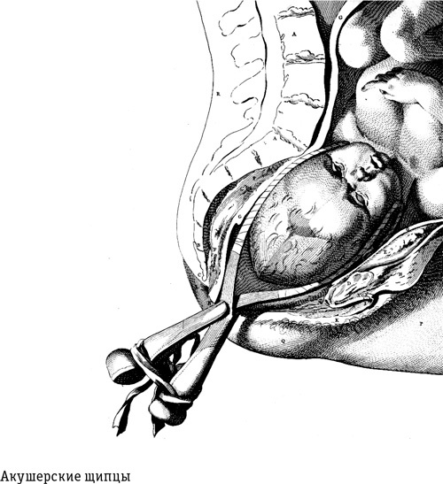 Иллюстрация к книге — Цивилизация с нуля. Что нужно знать и уметь, чтобы выжить после всемирной катастрофы [i_017.jpg]