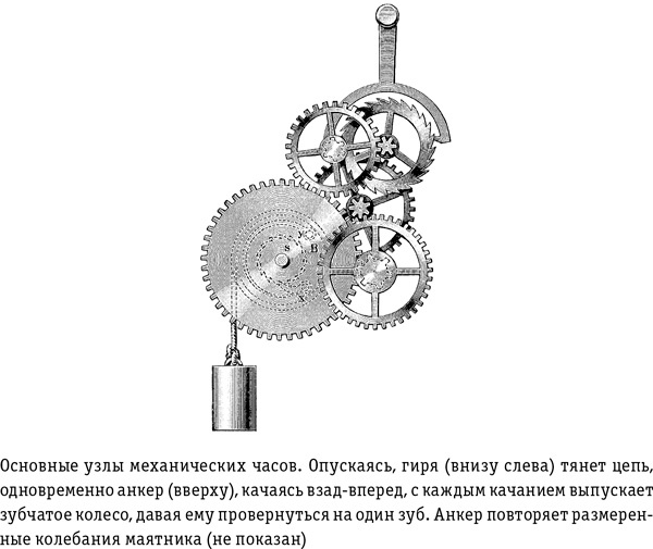 Иллюстрация к книге — Цивилизация с нуля. Что нужно знать и уметь, чтобы выжить после всемирной катастрофы [i_027.jpg]