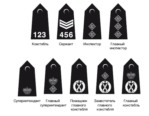 Иллюстрация к книге — Умри сегодня [i_003.jpg]