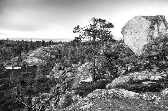 Иллюстрация к книге — Альтернативная история человечества [img3c1c.jpg]