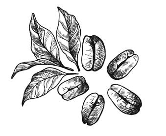 Иллюстрация к книге — Кофе лечит. Головную боль, спазм кровеносных сосудов, простуду, астму [i_005.jpg]