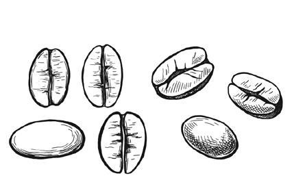 Иллюстрация к книге — Кофе лечит. Головную боль, спазм кровеносных сосудов, простуду, астму [i_010.jpg]