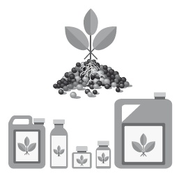 Иллюстрация к книге — Клетка "на диете". Научное открытие о влиянии жиров на мышление, физическую активность и обмен веществ [i_006.jpg]