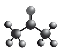 Иллюстрация к книге — Клетка "на диете". Научное открытие о влиянии жиров на мышление, физическую активность и обмен веществ [i_014.jpg]