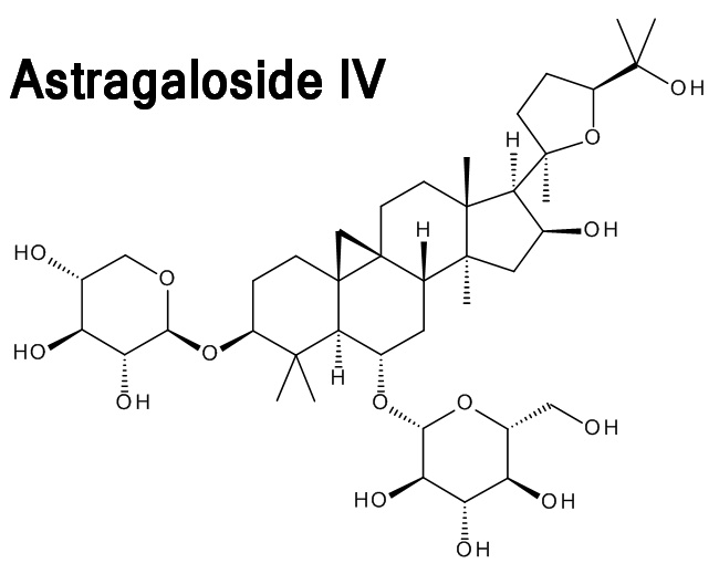 Иллюстрация к книге — Теломераза. Как сохранить молодость, укрепить здоровье и увеличить продолжительность жизни [i_011.jpg]