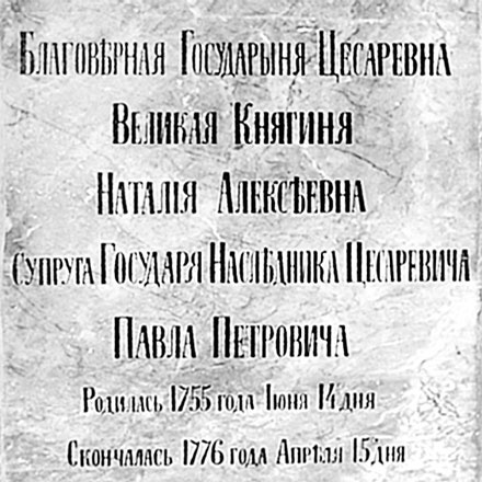 Иллюстрация к книге — Врачи двора его Императорского величества, или Как лечили царскую семью [_125.jpg]