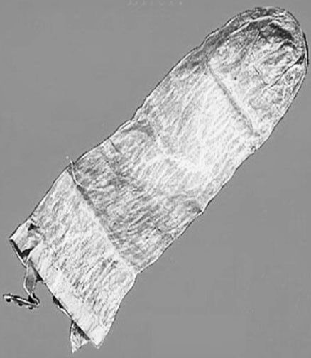 Иллюстрация к книге — Врачи двора его Императорского величества, или Как лечили царскую семью [_137.jpg]