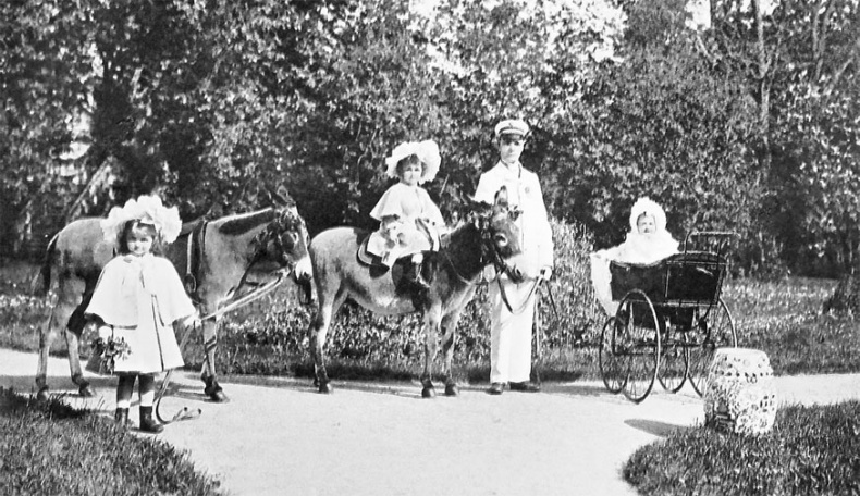 Иллюстрация к книге — Врачи двора его Императорского величества, или Как лечили царскую семью [_167.jpg]