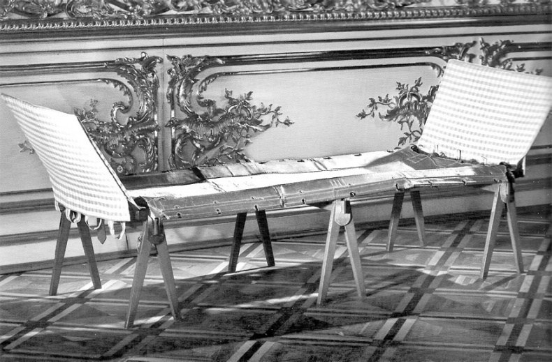 Иллюстрация к книге — Врачи двора его Императорского величества, или Как лечили царскую семью [_185.jpg]