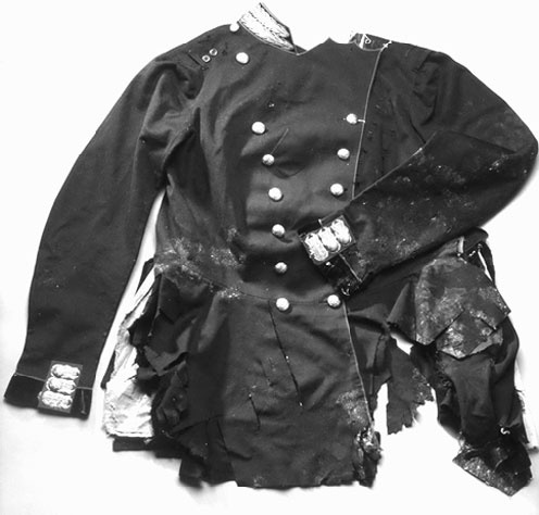 Иллюстрация к книге — Врачи двора его Императорского величества, или Как лечили царскую семью [_191.jpg]