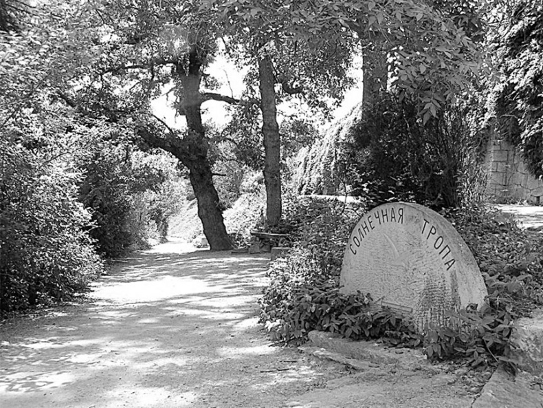 Иллюстрация к книге — Врачи двора его Императорского величества, или Как лечили царскую семью [_247.jpg]