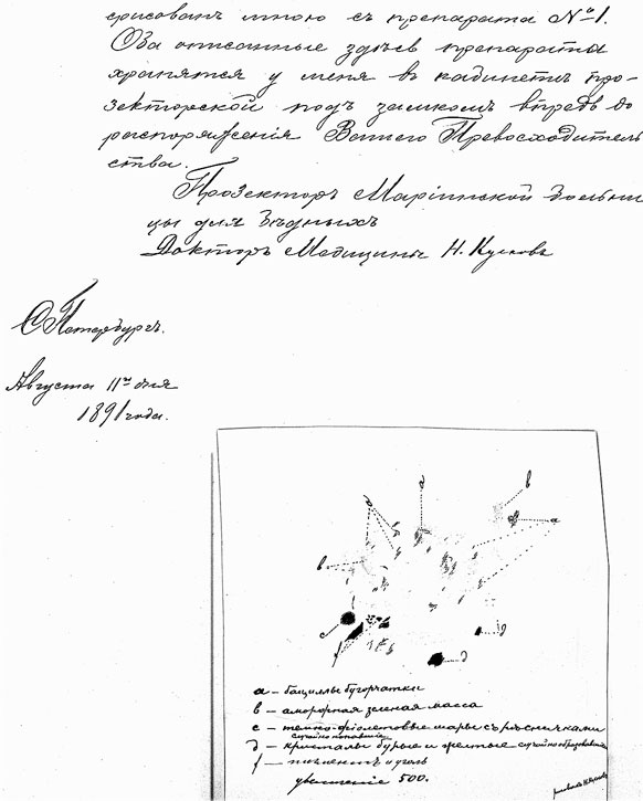 Иллюстрация к книге — Врачи двора его Императорского величества, или Как лечили царскую семью [_293.jpg]