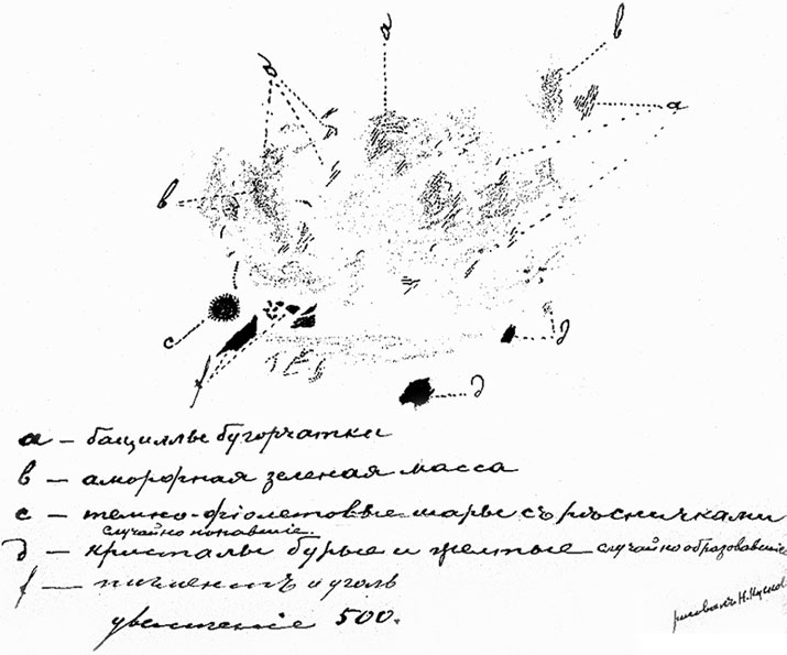 Иллюстрация к книге — Врачи двора его Императорского величества, или Как лечили царскую семью [_294.jpg]