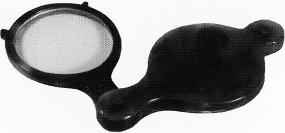 Иллюстрация к книге — Врачи двора его Императорского величества, или Как лечили царскую семью [_317.jpg]