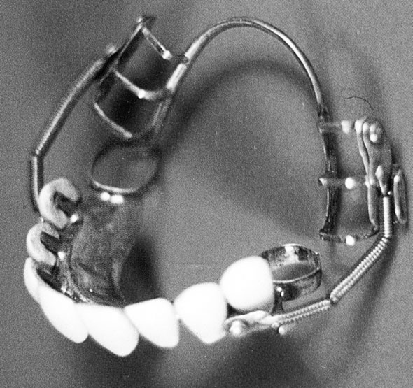 Иллюстрация к книге — Врачи двора его Императорского величества, или Как лечили царскую семью [_346.jpg]