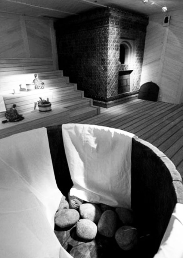 Иллюстрация к книге — Врачи двора его Императорского величества, или Как лечили царскую семью [_355.jpg]