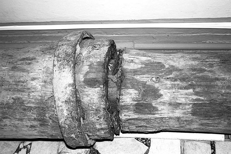 Иллюстрация к книге — Врачи двора его Императорского величества, или Как лечили царскую семью [_369.jpg]