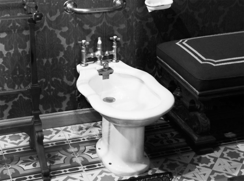 Иллюстрация к книге — Врачи двора его Императорского величества, или Как лечили царскую семью [_372.jpg]