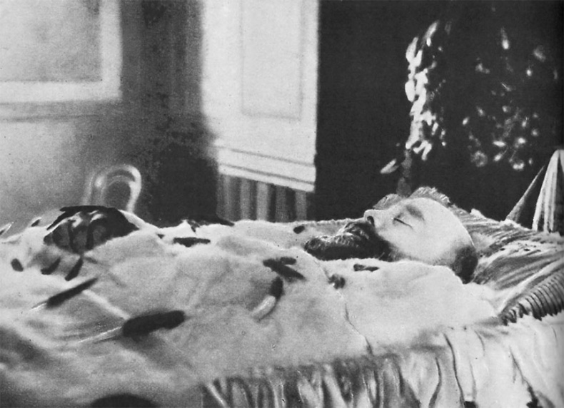 Иллюстрация к книге — Врачи двора его Императорского величества, или Как лечили царскую семью [_384.jpg]