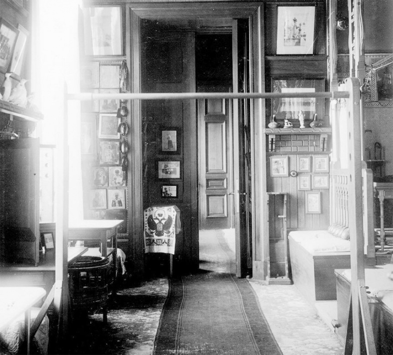 Иллюстрация к книге — Врачи двора его Императорского величества, или Как лечили царскую семью [_429.jpg]