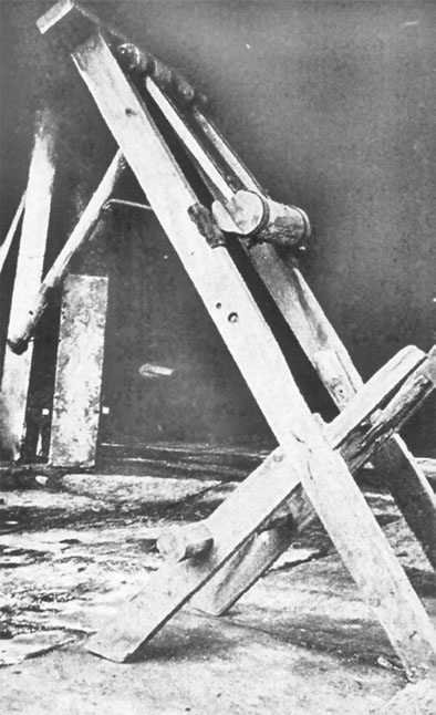 Иллюстрация к книге — Врачи двора его Императорского величества, или Как лечили царскую семью [_432.jpg]