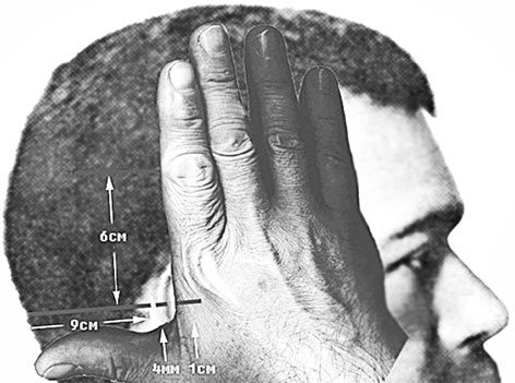 Иллюстрация к книге — Врачи двора его Императорского величества, или Как лечили царскую семью [_67.jpg]