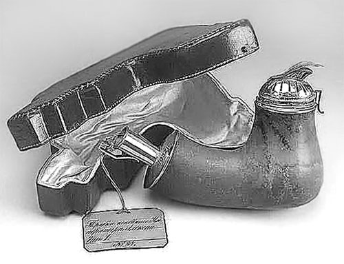 Иллюстрация к книге — Врачи двора его Императорского величества, или Как лечили царскую семью [_68.jpg]