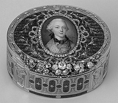 Иллюстрация к книге — Врачи двора его Императорского величества, или Как лечили царскую семью [_76.jpg]