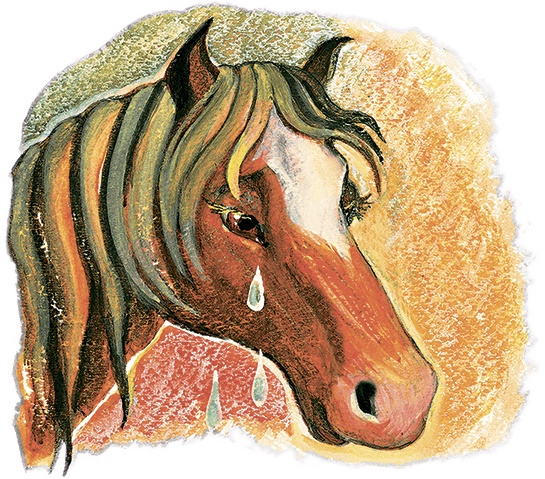 Иллюстрация к книге — Не буду просить прощения (сборник) [i_039.jpg]