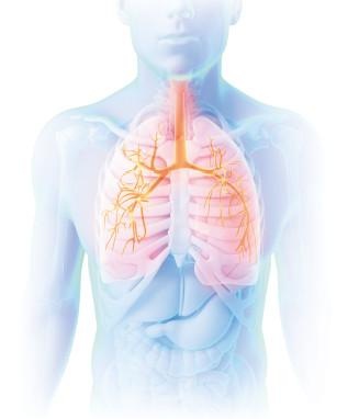 Иллюстрация к книге — Как избавиться от боков, "ушей" и "галифе" [i_044.jpg]